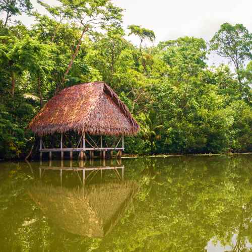 Amazonia com Pernoite na selva em 2 dias de passeio